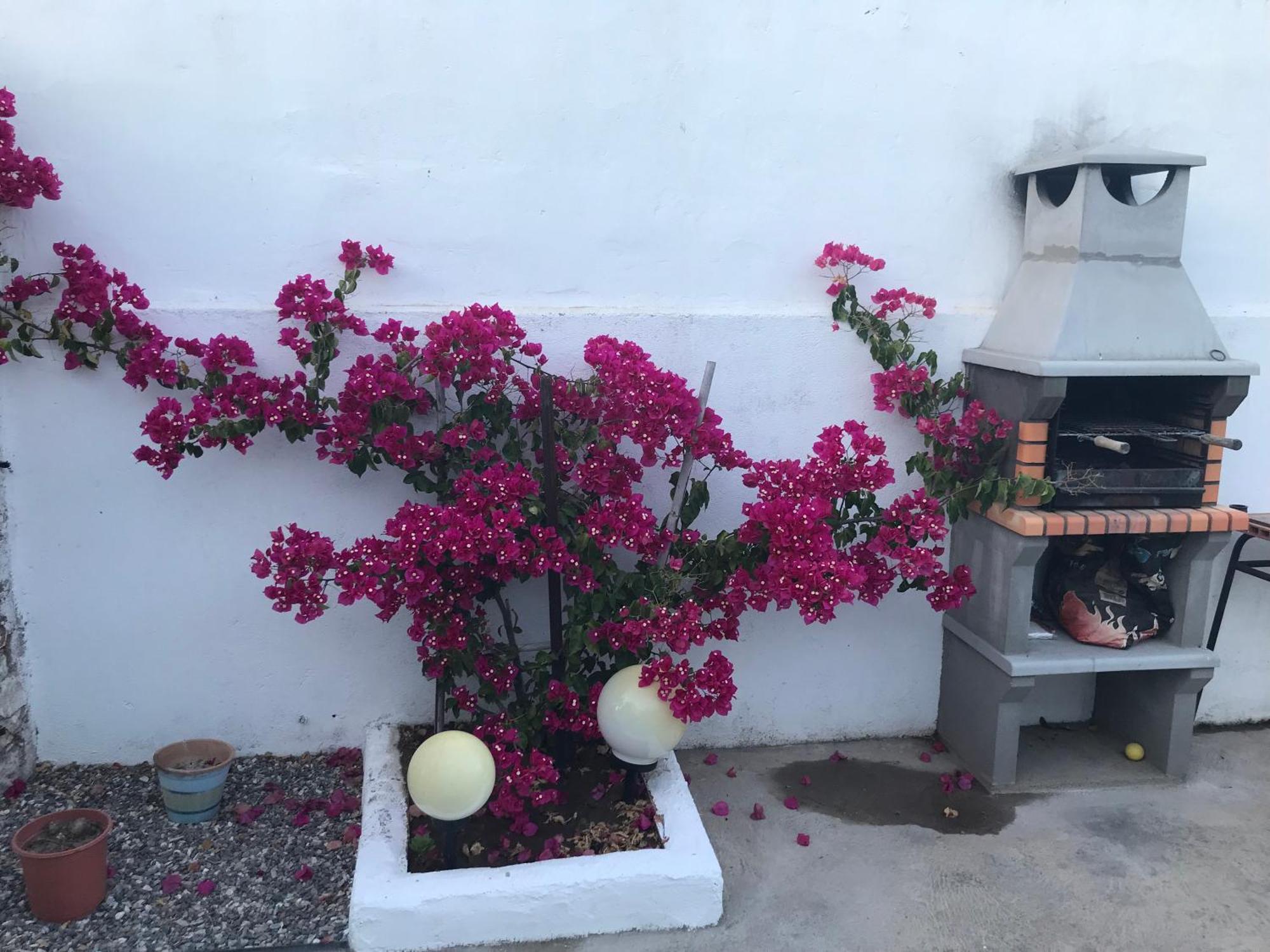Pias Casa Santo Antonioアパートメント エクステリア 写真